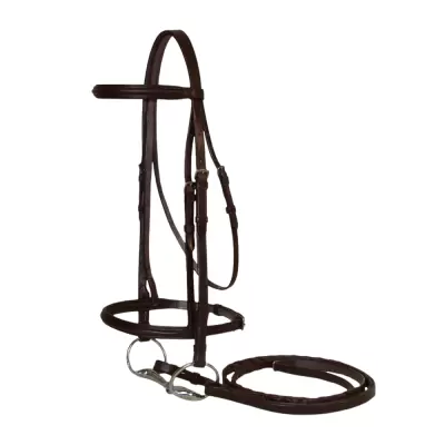 Bridle