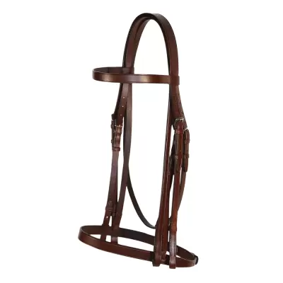 Bridle