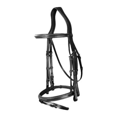 Bridle