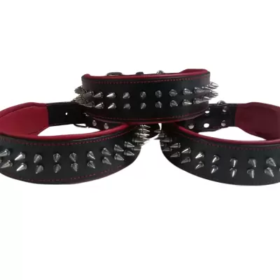 Dog Collar Belt