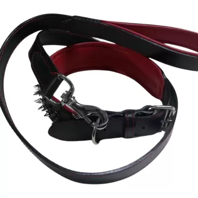 Dog Collar Belt