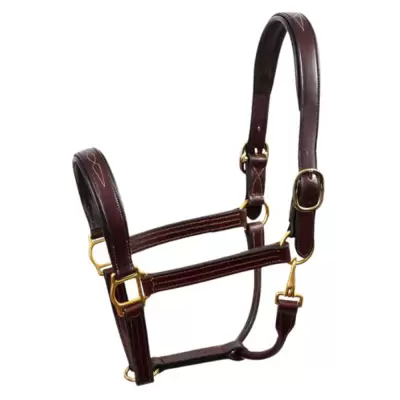 Halter